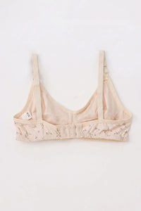 AMG Women's Stretchable Bra (Pack of 3)